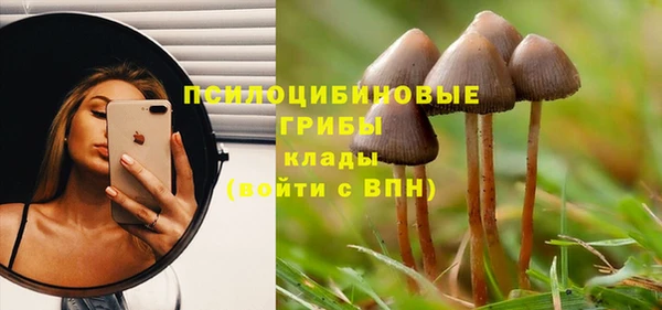 МДПВ Россошь
