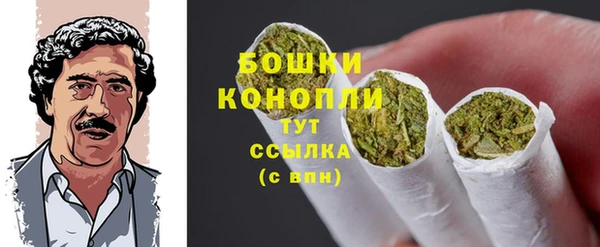 крисы Баксан