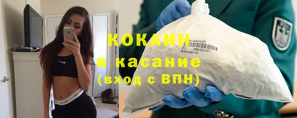 индика Ростов