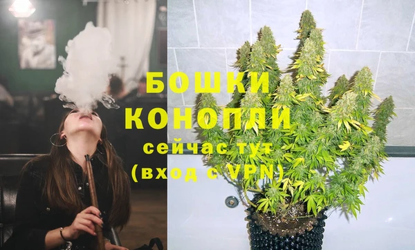 крисы Баксан