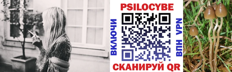 что такое Купино кракен ONION Псилоцибиновые грибы прущие грибы