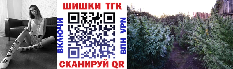 Конопля SATIVA & INDICA Купино